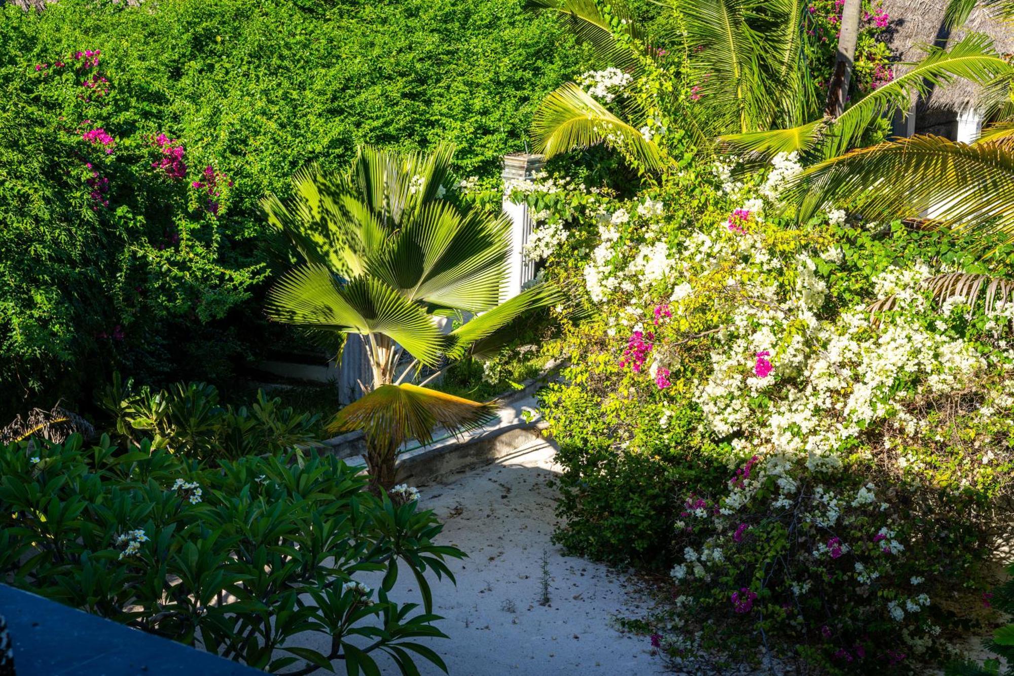 Jafferji Beach Retreat, Matemwe  Buitenkant foto